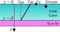 Mass diffusion during oxidation of metals and silicon