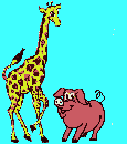 giraffe & pig