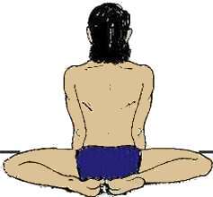 yoga pose : frog posture - mandukasana