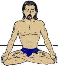 yoga pose : lotus posture - padmasana