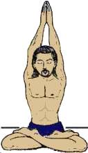 yoga pose : mountain posture - parvatasana