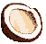 Coconut