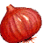 Onion