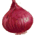 Onion