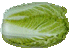 Cabbage